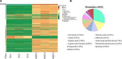Effects of alcoholic fermentation on the non-volatile and volatile compounds in grapefruit (Citrus paradisi Mac. cv. Cocktail) juice: A combination of UPLC-MS/MS and gas chromatography ion mobility spectrometry analysis